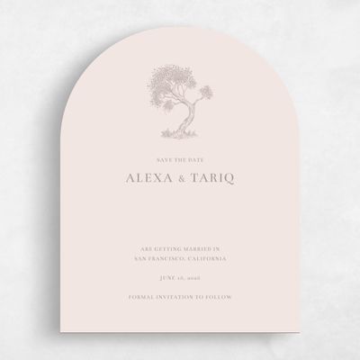 Pink Arch Wedding Save the Date - Manitou Stamp