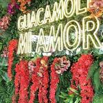 Guaca Mole Modern Mexican