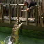 St. Augustine Alligator Farm Zoological Park