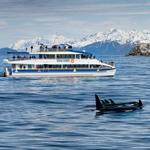 Major Marine Tours
