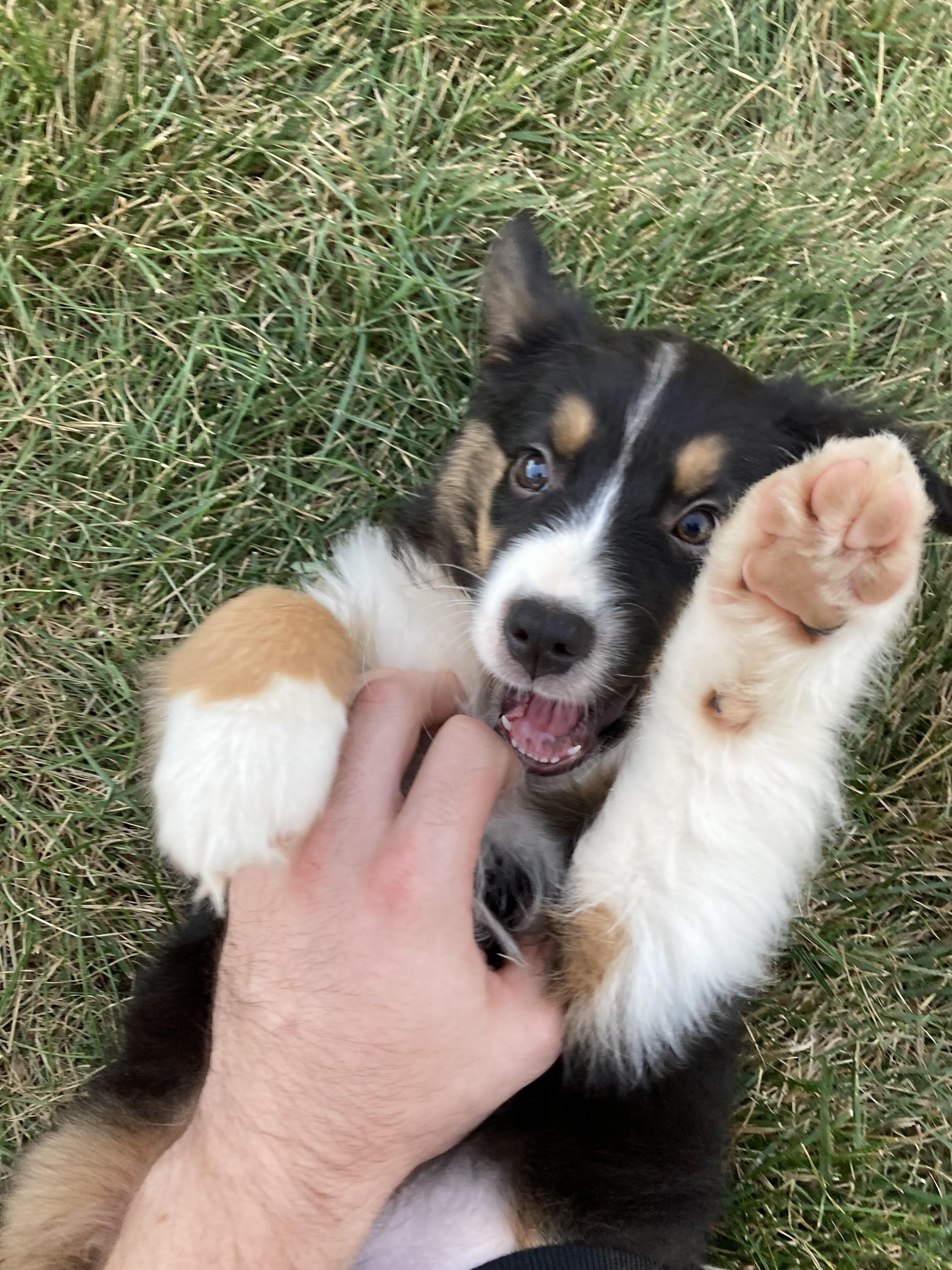 The Wedding Website of Kris Callaway and Ryan Owens