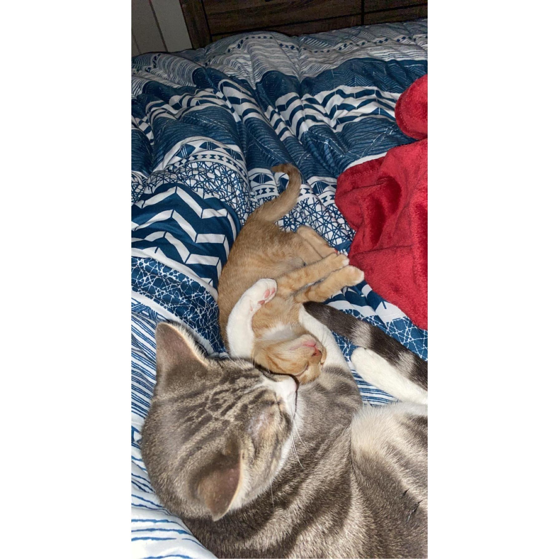 The newest addition to our family