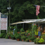 Story Farms