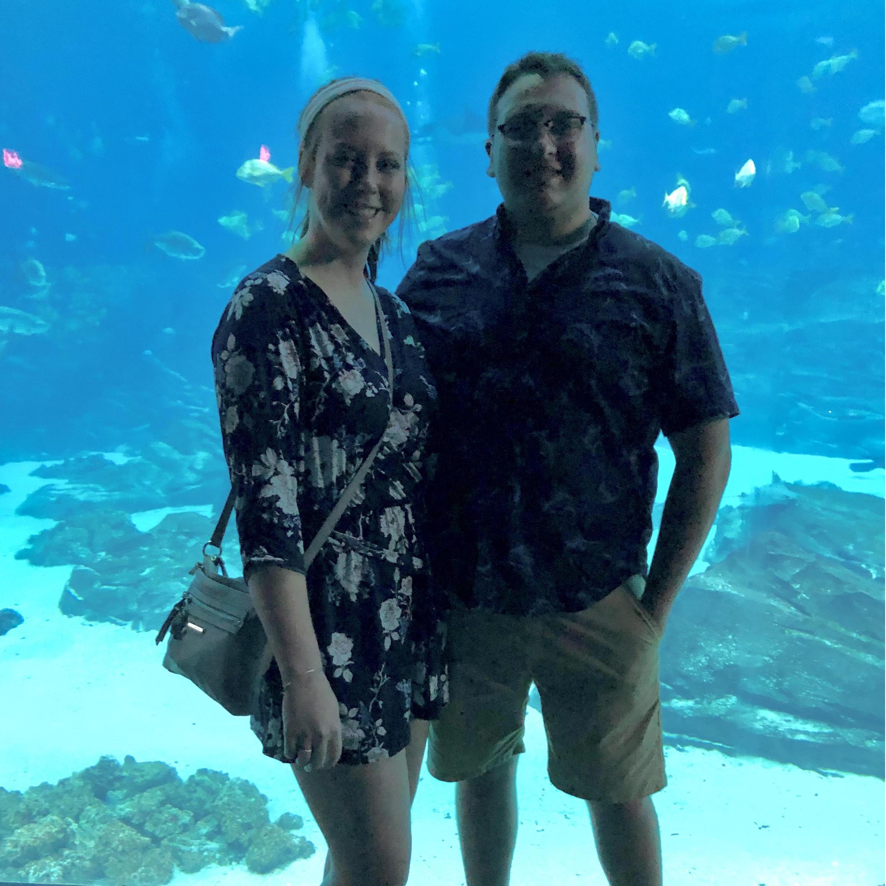 Georgia Aquarium, 2019