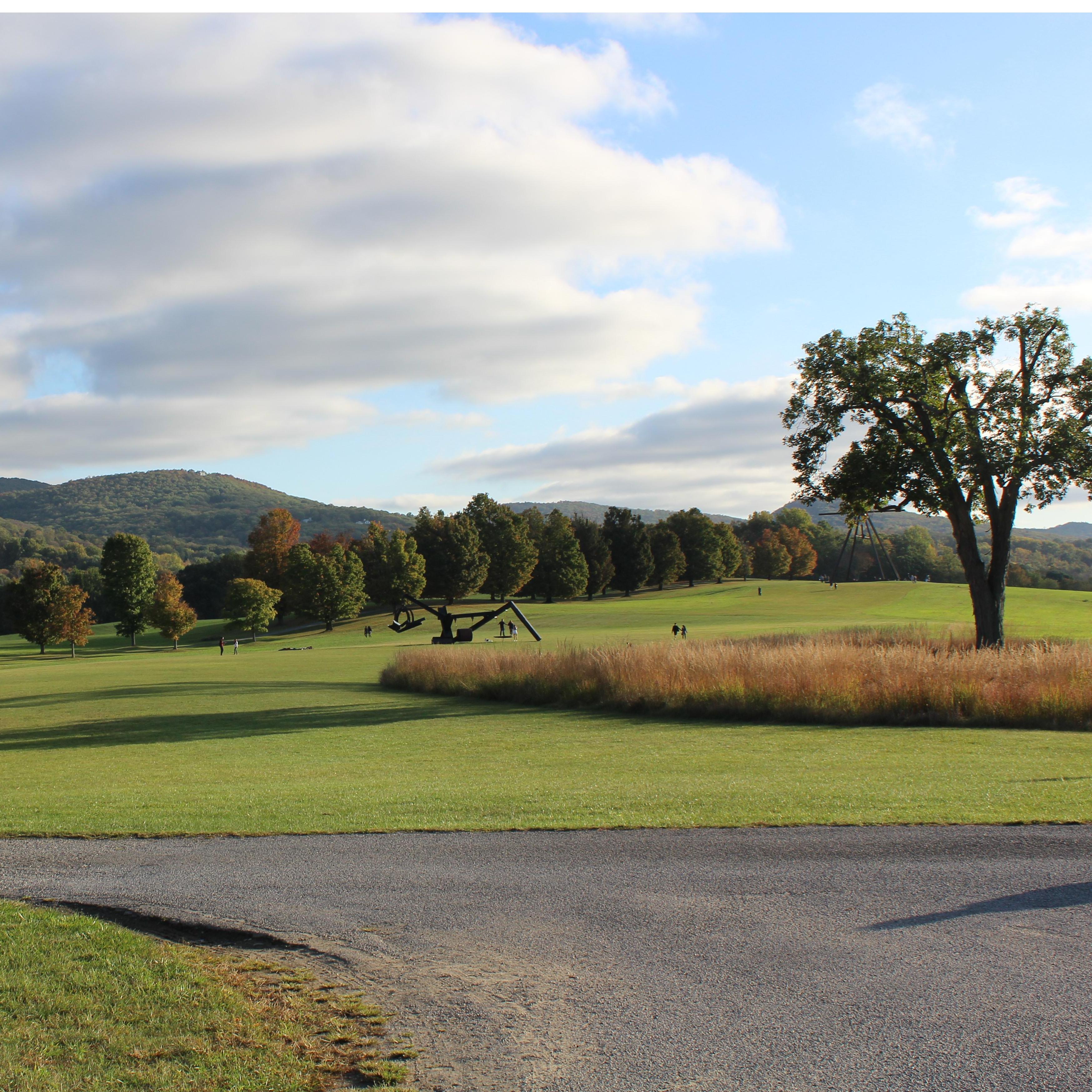 Storm King (2017)