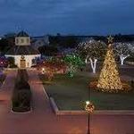 Christmas Lights and Window Displays