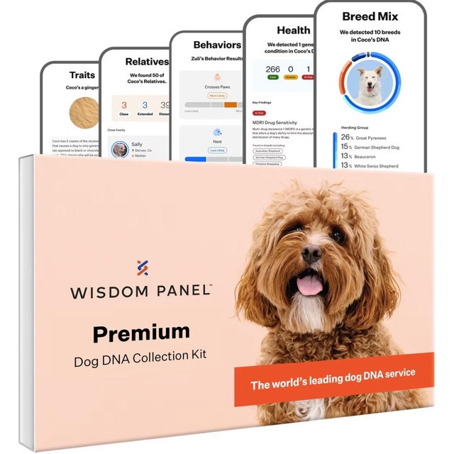 Wisdom Panel Dog Breed & Health Condition DNA Test