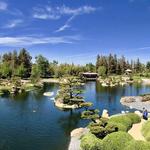 The Japanese Garden