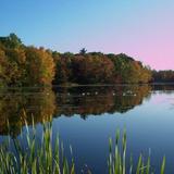 Ann Lee Pond Nature and Historic Preserve
