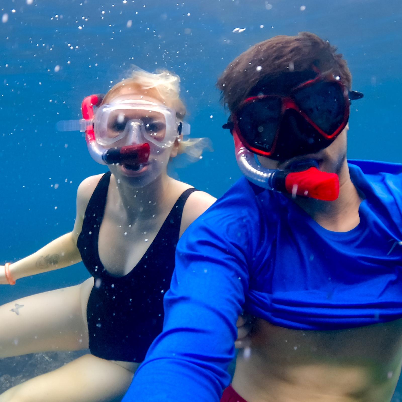 Snorkeling with turtles off the Na Pali Coast!