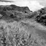 Cowiche Canyon Trail