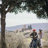 Activities at Tenuta di Artimino