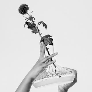 Lismore Arcus Wine Carafe