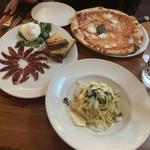 Terroni