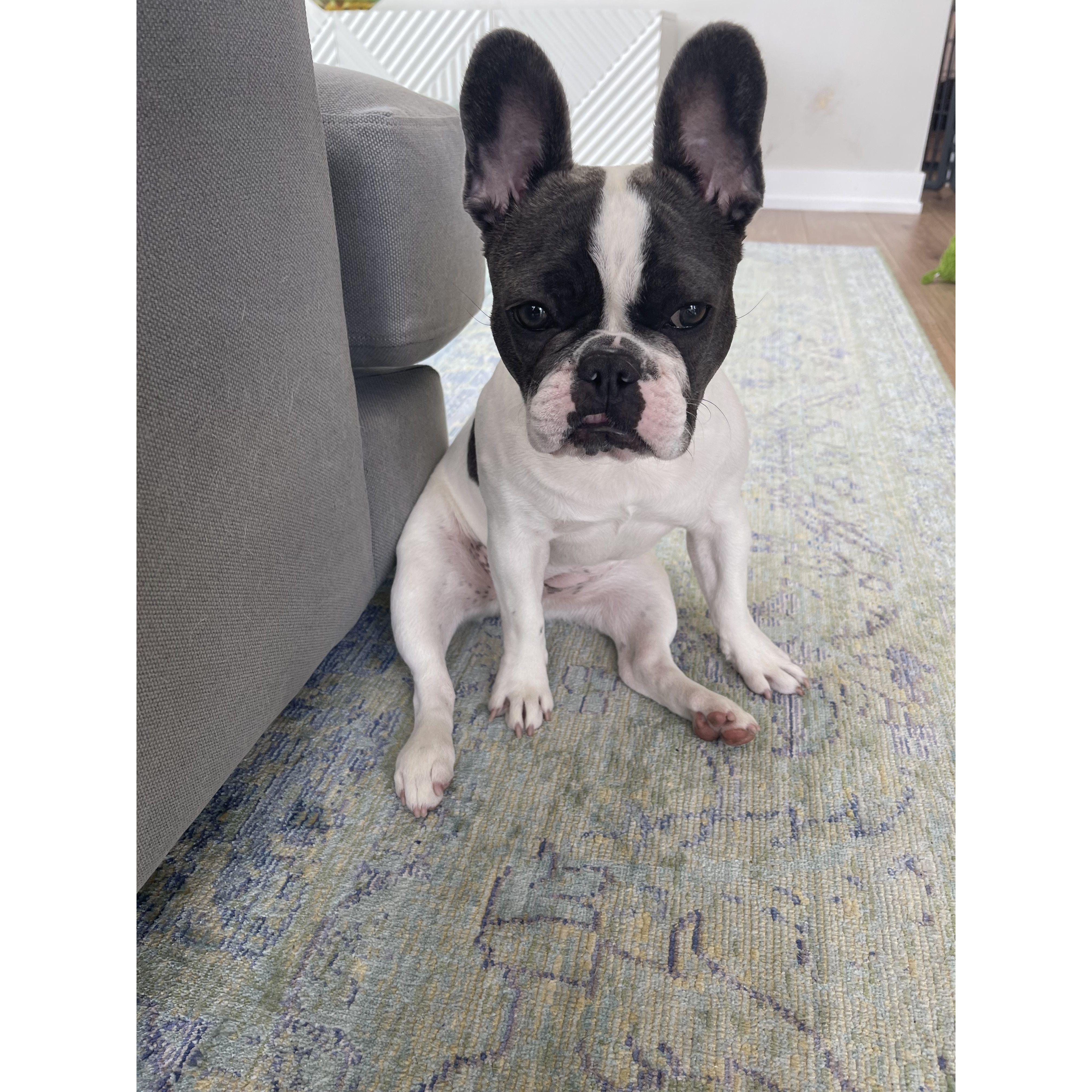 Stella living her best life