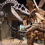 Denver Museum of Nature & Science