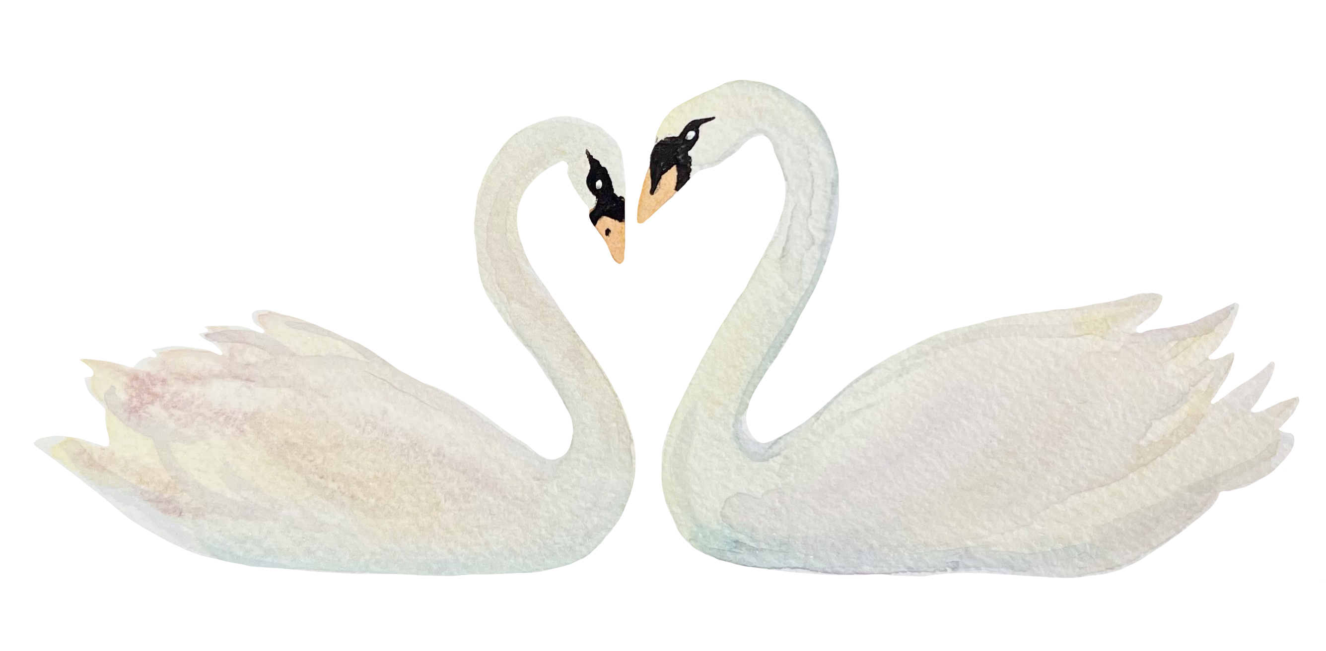 The Wedding Website of JESSICA TOCCI and MICHAEL BLATT