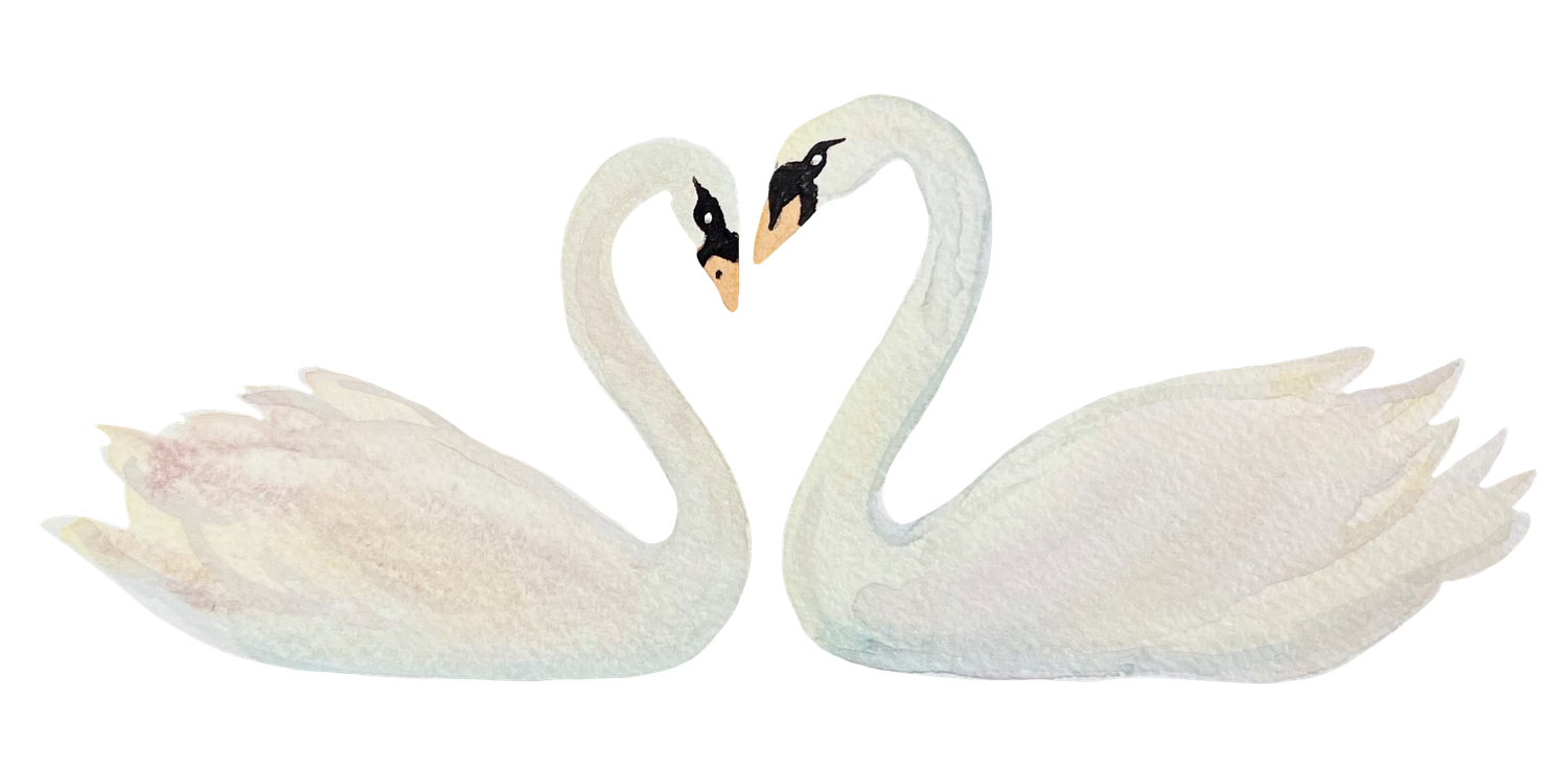 The Wedding Website of JESSICA TOCCI and MICHAEL BLATT