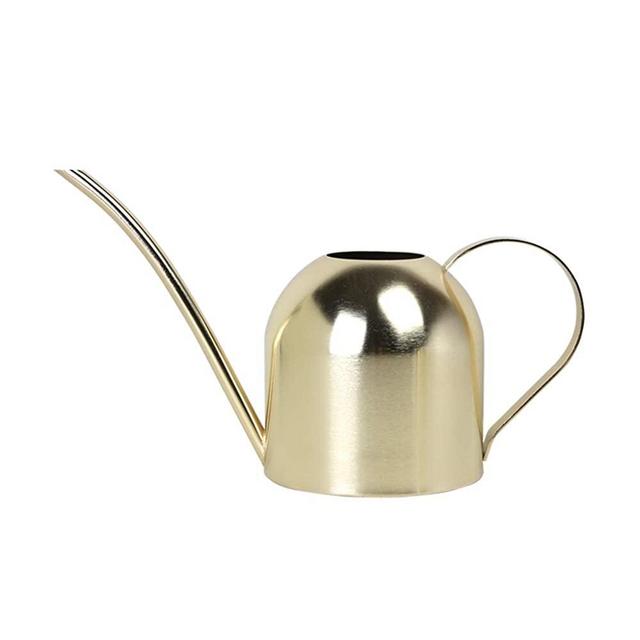 E.Palace Stainless Steel Water Can for Indoor Plants and Garden Brass (30 oz)