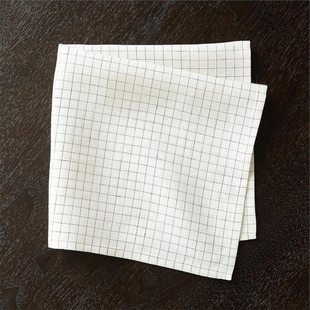 CB2 Pane Napkin