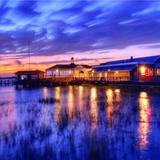 Coastal Expeditions BOAT TOURS AND FISHING CHARTERS. JEKYLL ISLAND