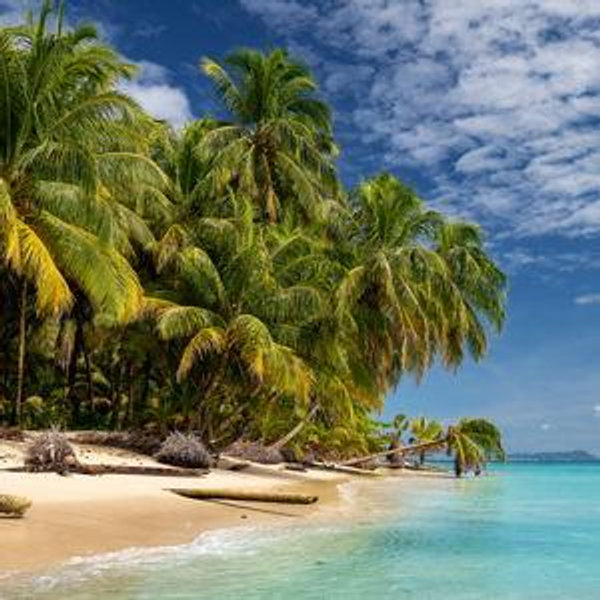 Honeymoon Excursion