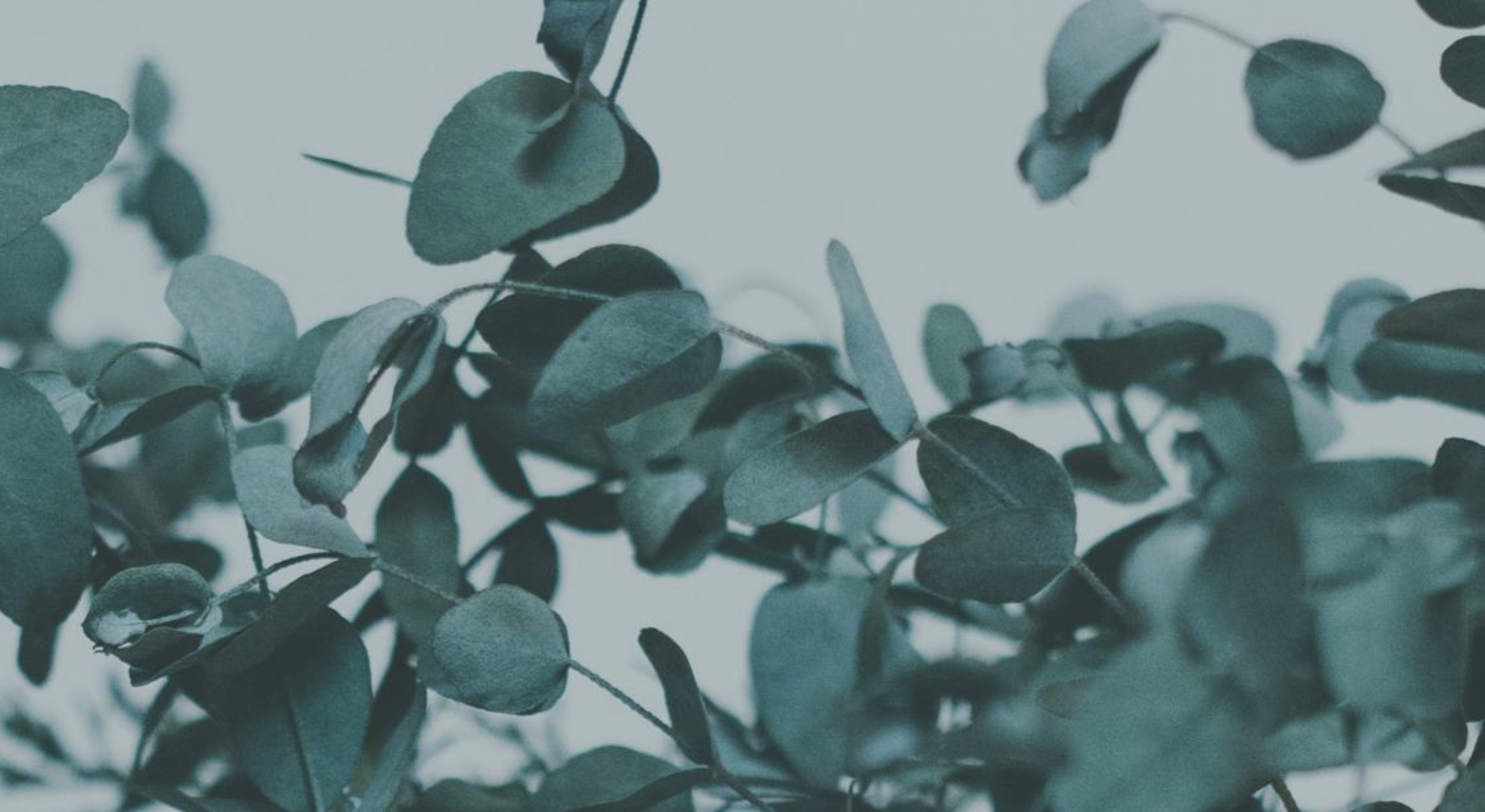 Footer image