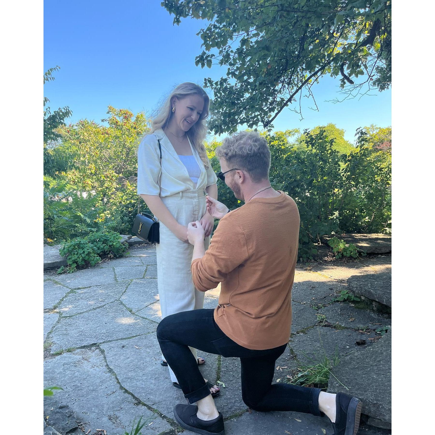 The engagement!