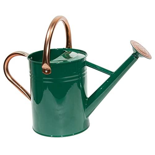 yourjoy Steel Watering Can Sliver Galvanized Steel Watering Can with Copper Accents,Removable Rosette-Diffuser,One-Gallon