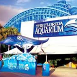 The Florida Aquarium