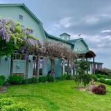 Fox Run Vineyards