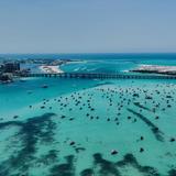 Crab Island