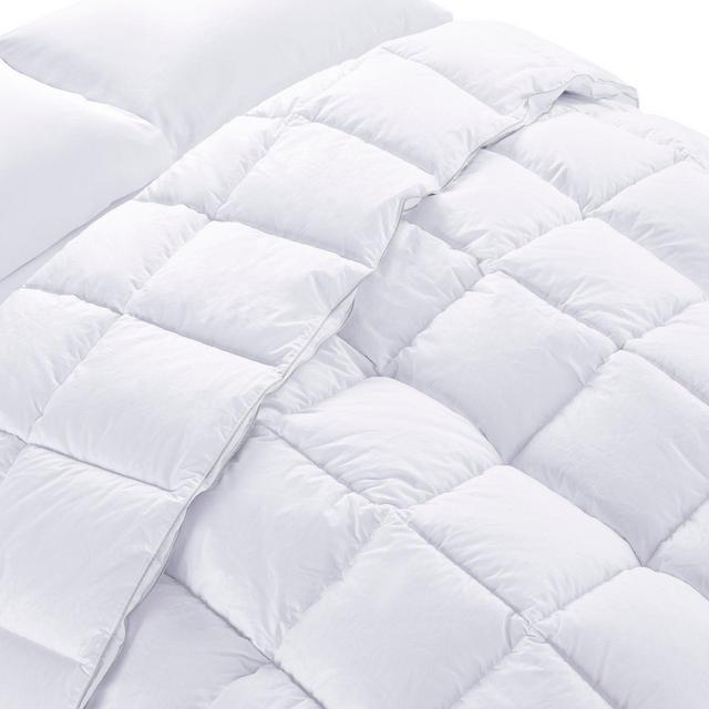 Claritin Cotton Down Alternative King Comforter In White