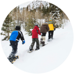 Snowshoe Tours