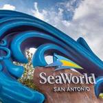 Sea World Drive