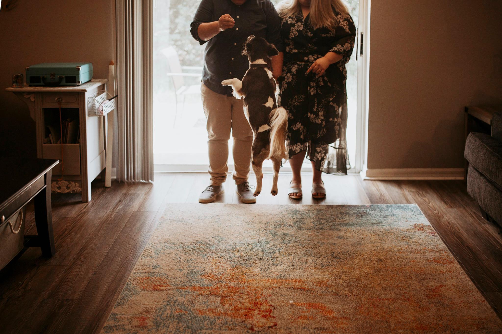 The Wedding Website of Kaitlyn Devereaux and Crissy Blunk
