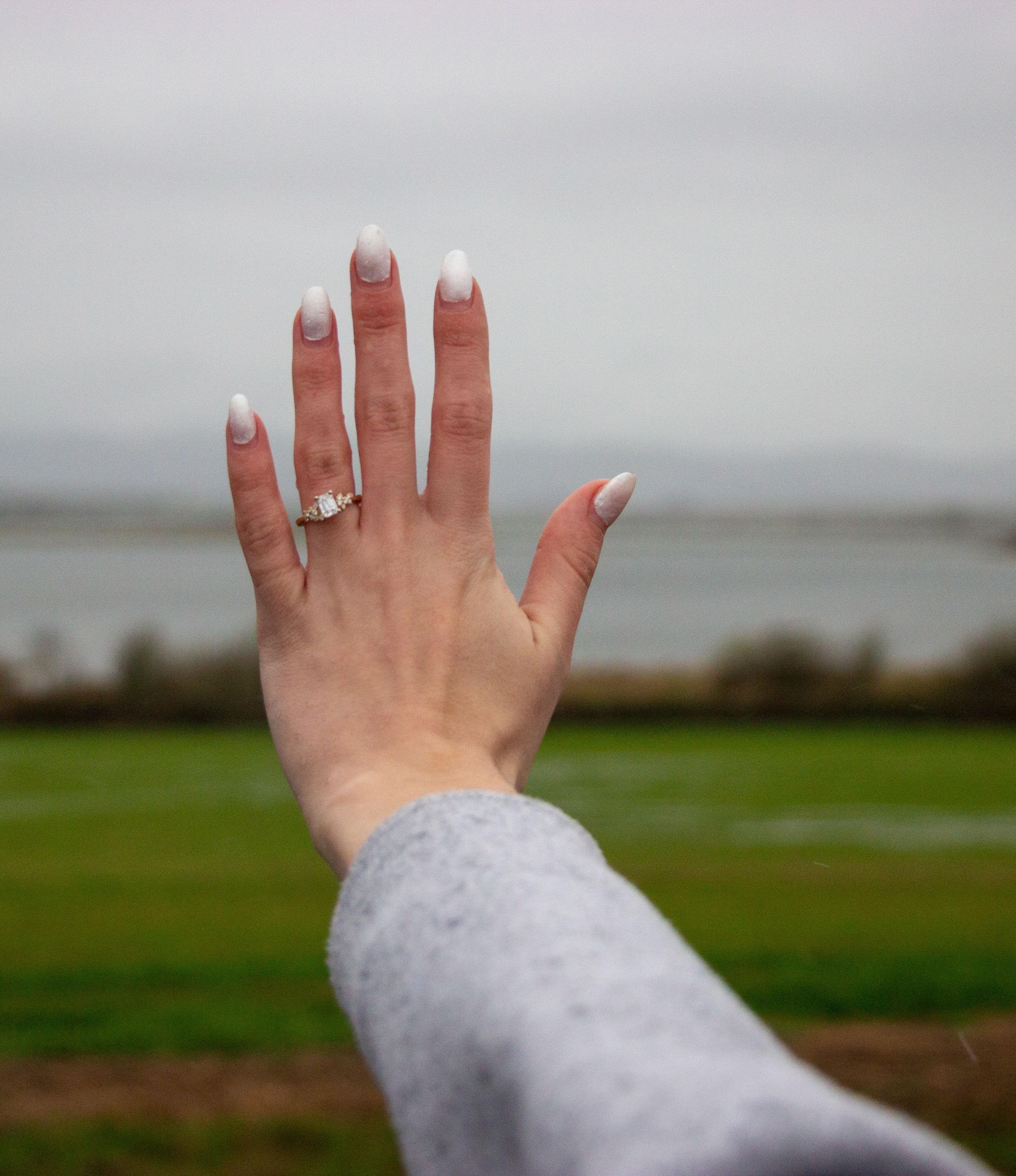 The Wedding Website of William Evans and Olivia Morgan