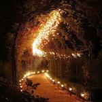 Lit Walkway Through Woods