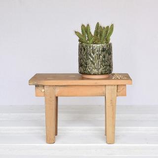 Cactus Large Motif Cachepot, Set of 2