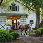 Spendthrift Farm
