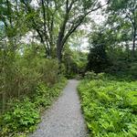 Botanical Gardens at Asheville