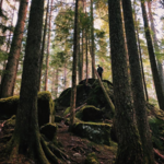 Mount Rainier National Park