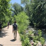 Stroll the Boulder Creek Path