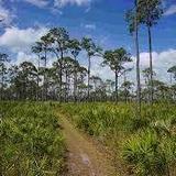 Jonathan Dickinson State Park