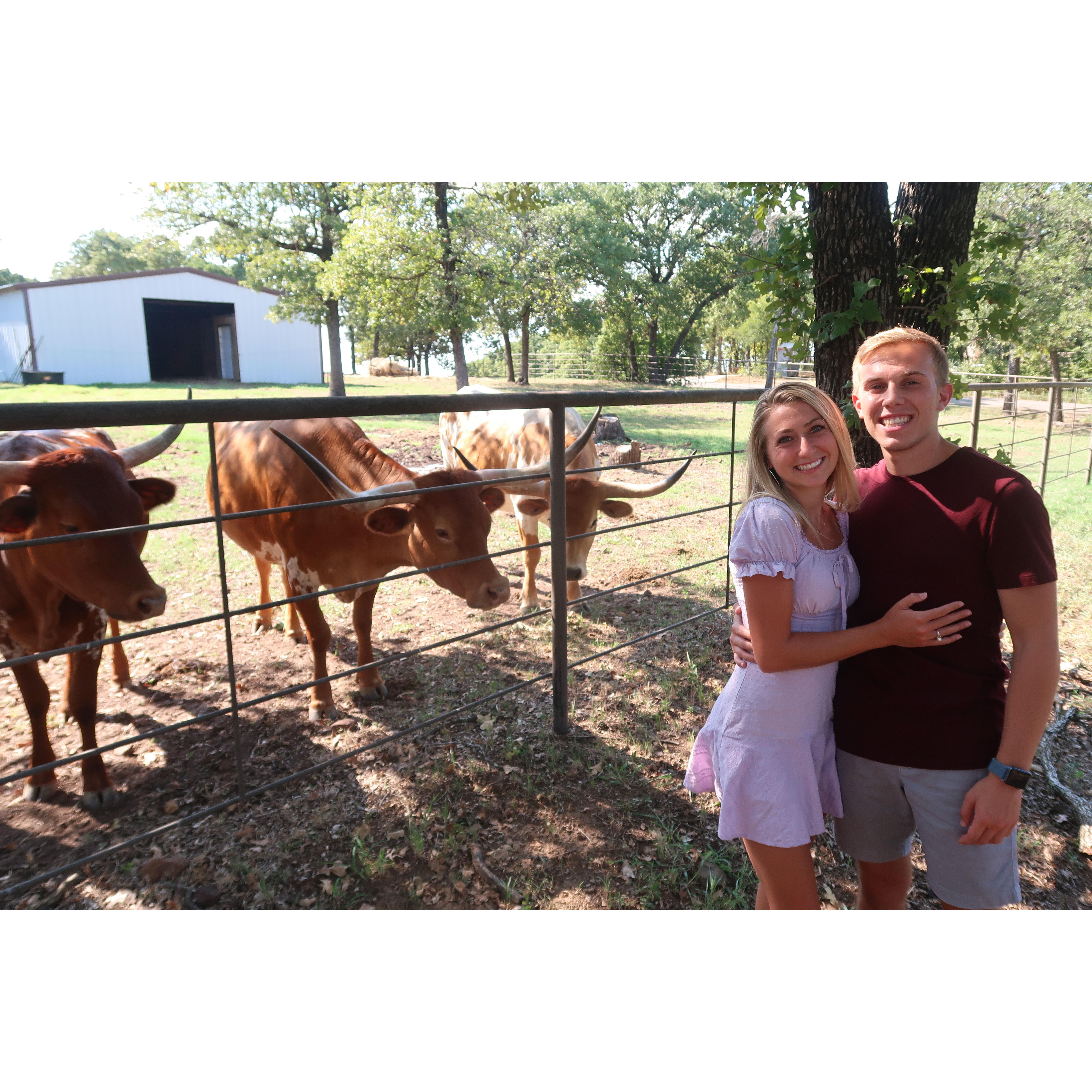 August 7, 2020: visiting Sky's family in TX and getting some pics with longhorns