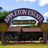 Appleton Estate