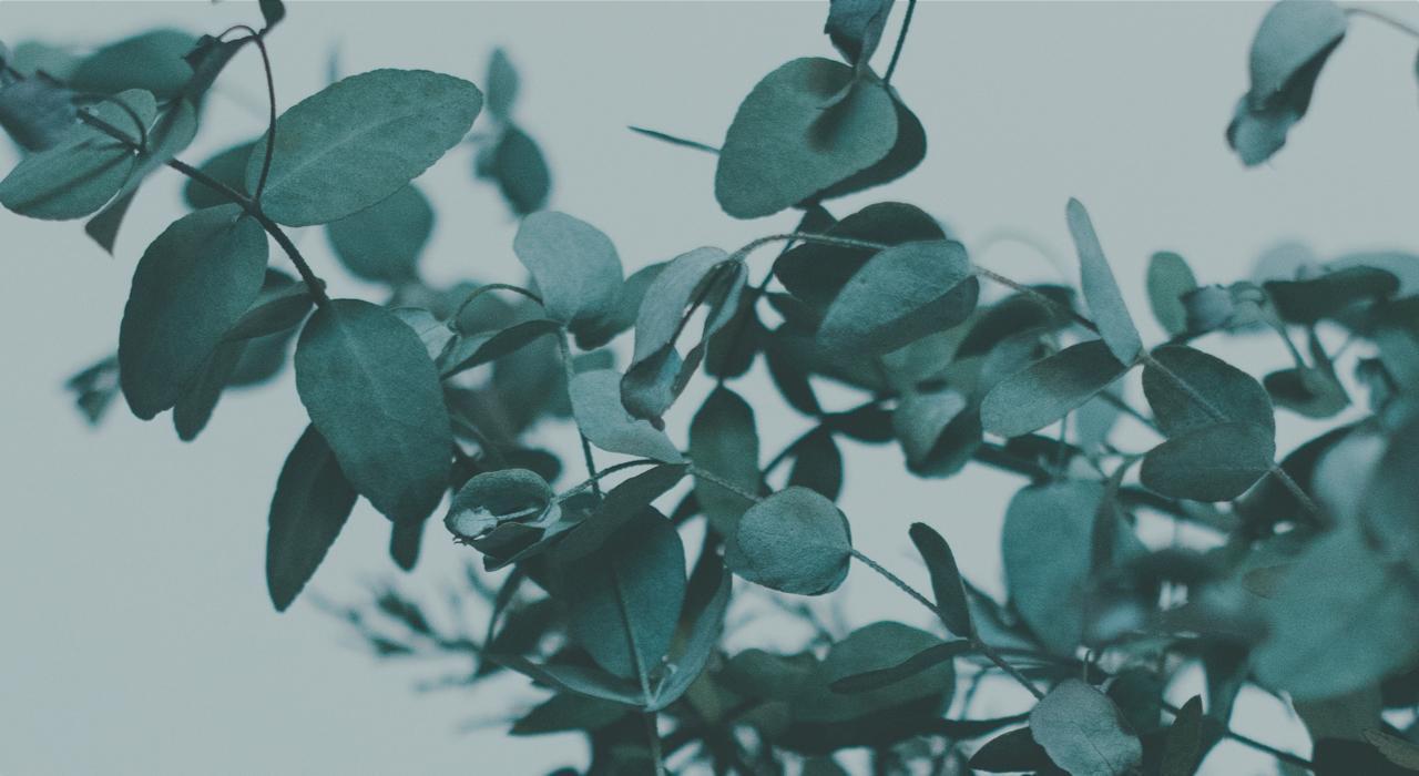 Footer image