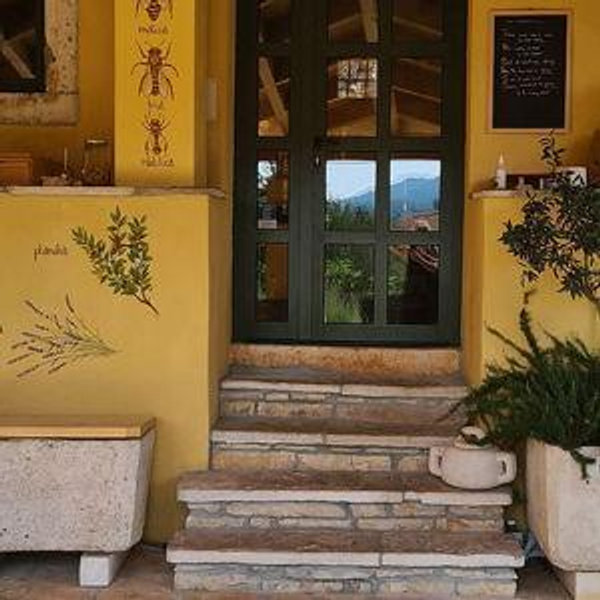 Wine, honey, and gin tasting in Korcula