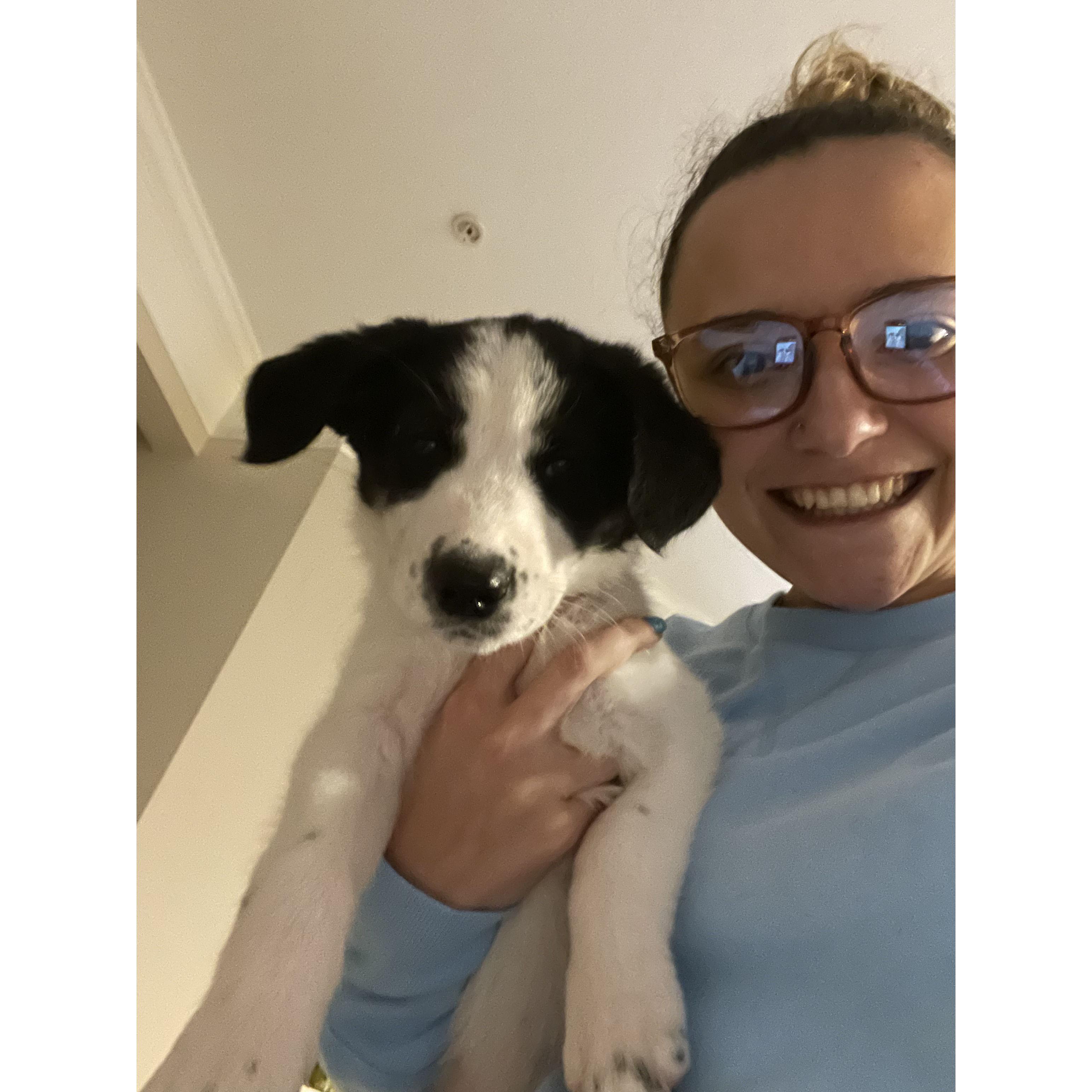 We used to be able to hold him with one hand (PS, he's 70 lbs now)