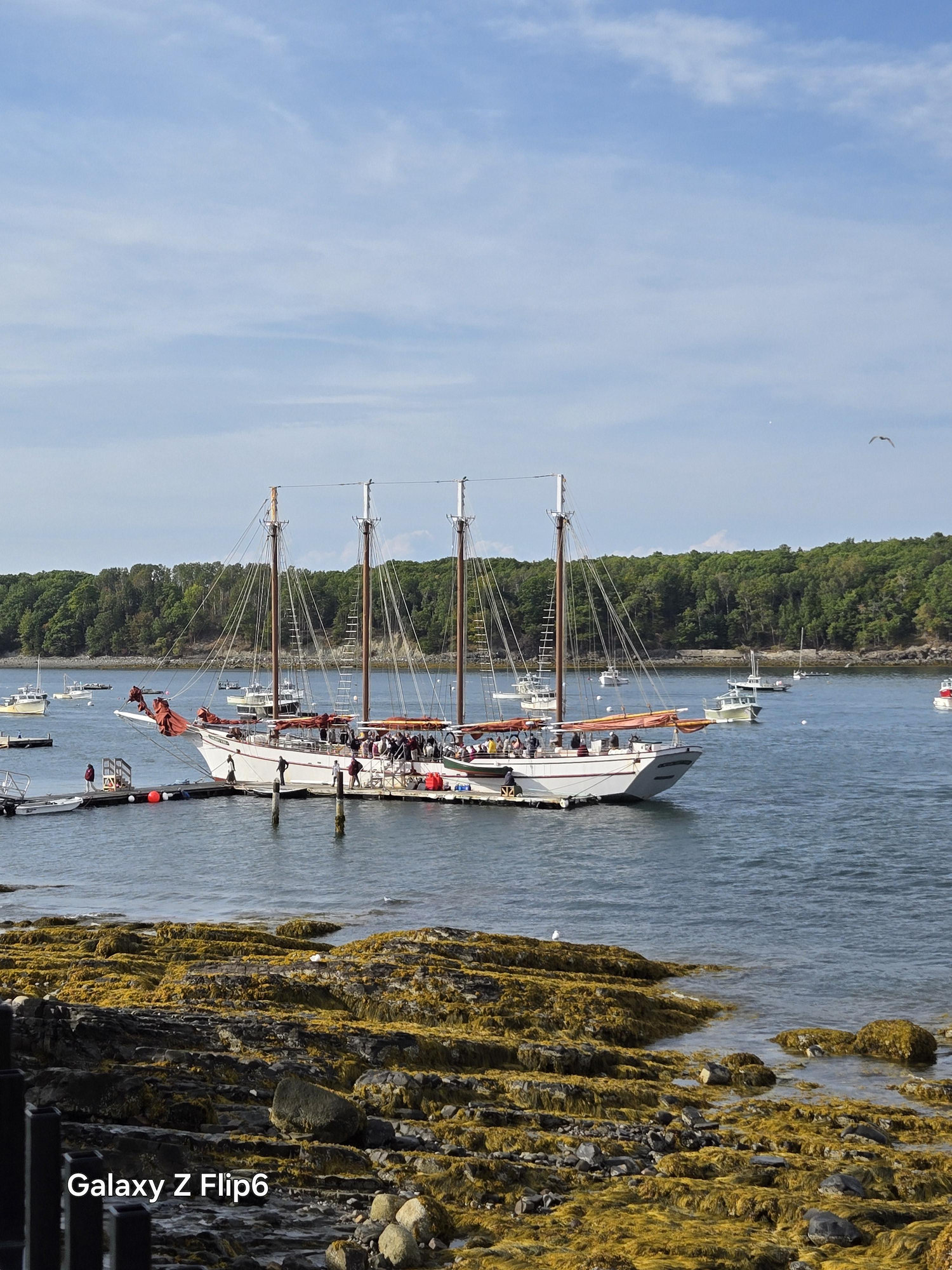 The Wedding Website of Deb Sheehan and Dave Compton